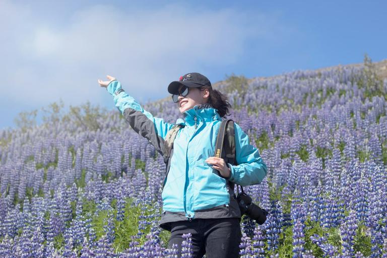 Woman in a blue jacket and black cap enjoying a sunny day in a field of purple lupines with a camera slung over her shoulder, mountains in the background, depicting the beauty of tour guiding in the Icelandic summer.